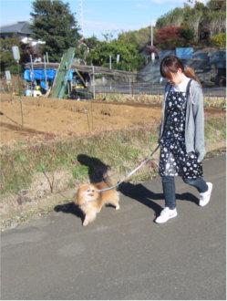 お散歩