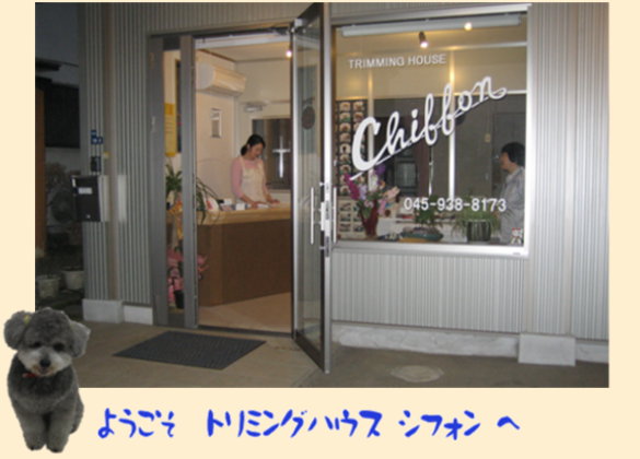 ようこそ